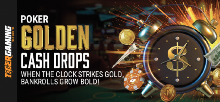 Golden Cash Drops: Exciting Rewards Await on the Chico Network image