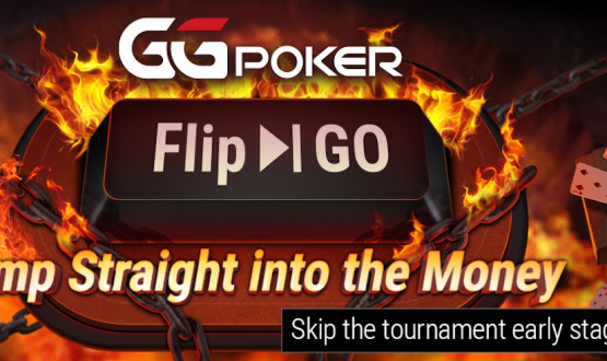 Flip & Go Millionaire Returns image