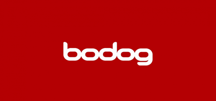 Bodog Poker Offers 100% First Deposit Bonus to New Players image