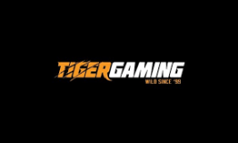 Tiger Gaming image