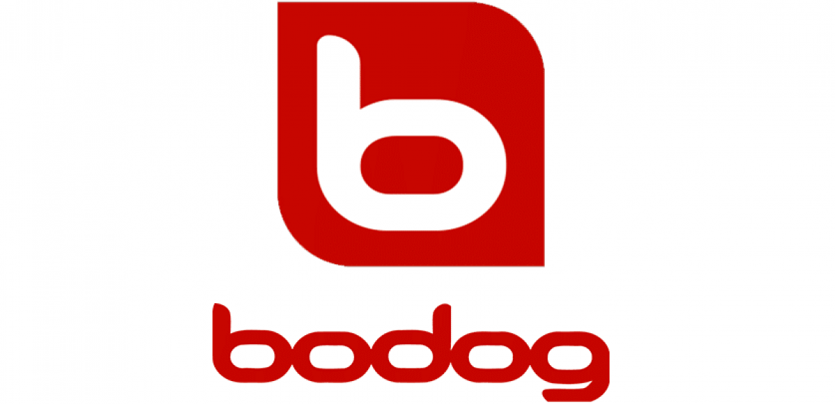 Bodog Sports Betting Review 2023